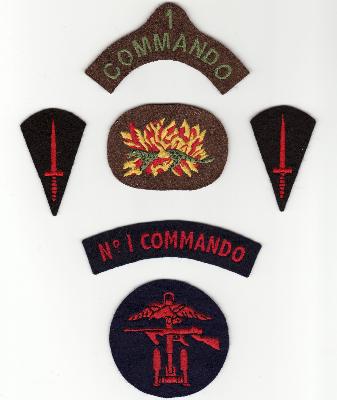 [Thumb - Z3-No1 Commando Insignia group..jpg]
