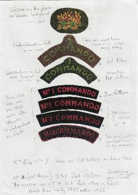 [Thumb - J79-Information Sheet provided by Hubert Long of the Military Heraldry Society.jpg]