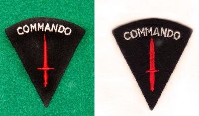 [Thumb - Veterans cap badge-comparision_small.jpg]