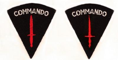 [Thumb - Veterans cap badge-comparision_small..jpg]